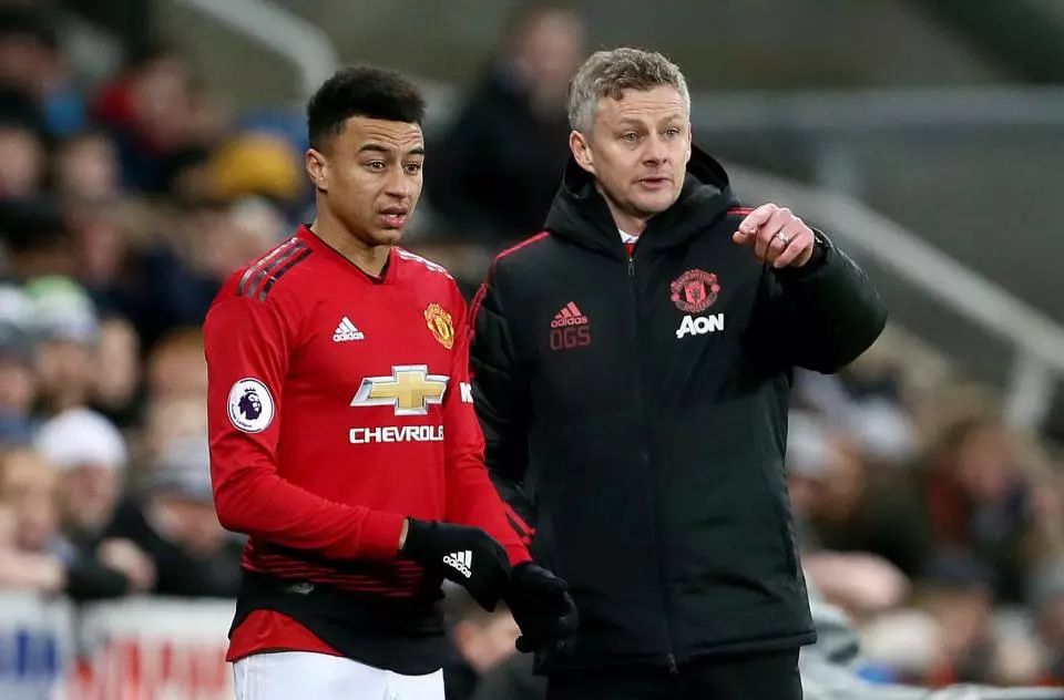 年轻新星 年轻新星